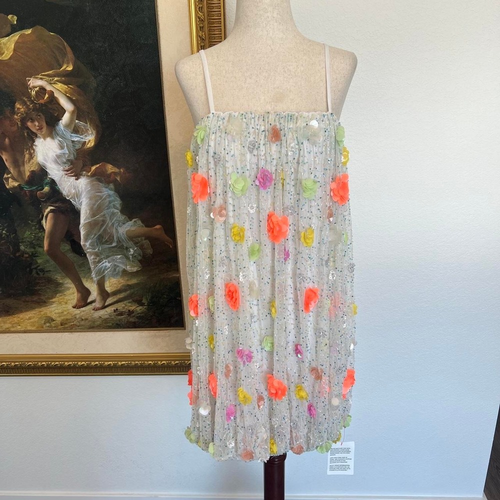 Beaded Fairy Bubble Hem Party Dress NWT